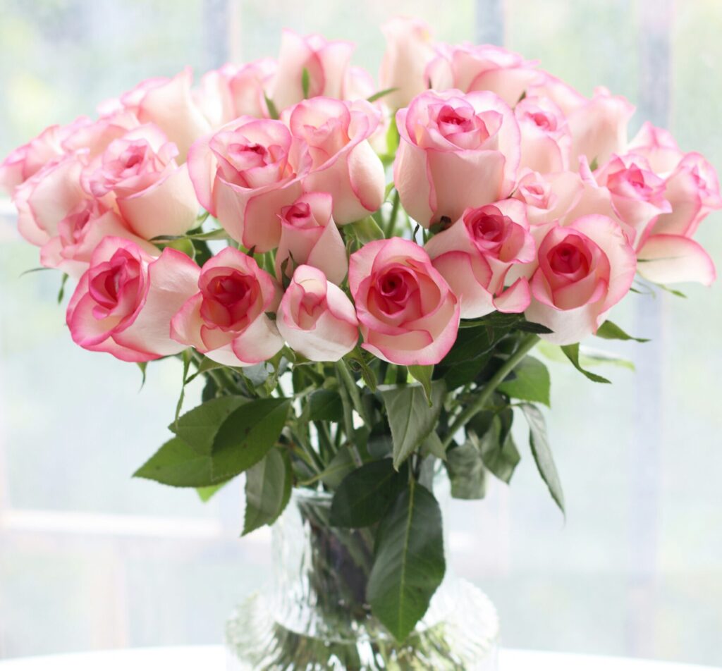 pink flowers