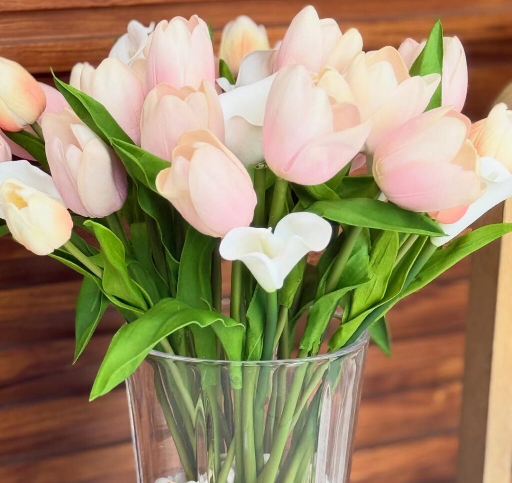 Tulip flowers